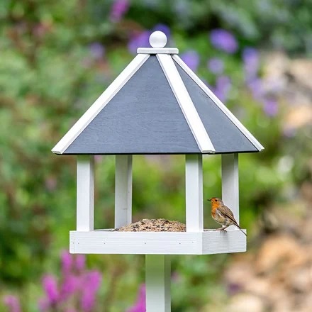 bird feeder