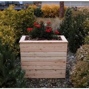 Pia Larch Planter