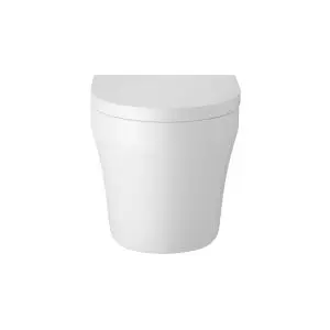 Back to Wall Pan & Seat - Hudson Reed CPA008 Gloss White, White colour ,image 1