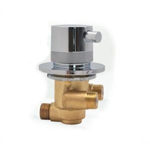 Thermostatic Shower mixer Valve – Single Output