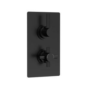 Twin Thermostatic Shower Valve With Diverter - Hudson Reed A4007 Black, Black colour ,image 1