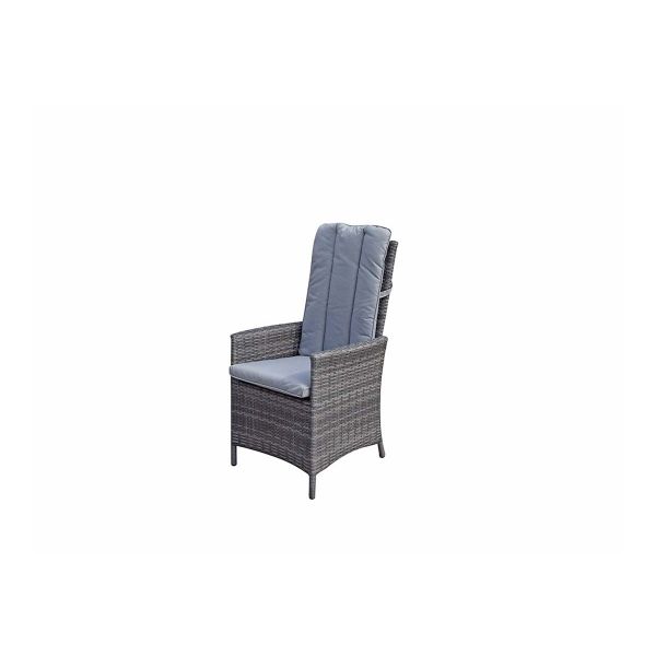 Emily Reclining Dining Chair, Grey colour ,image 1