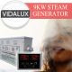 Vidalux 9kw Steam Room Generator ,image 1