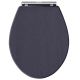 Carlton Toilet Seat - Hudson Reed LOS399 Twilight Blue, Blue colour ,image 1