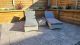 Meghan Sunlounger, Neutrals colour ,image 1