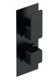 Twin Thermostatic Valve With Diverter - Nuie WIN4TW02 Matt Black, Black colour ,image 1