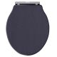 Ryther Toilet Seat - Hudson Reed LOS398 Twilight Blue, Blue colour ,image 1
