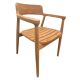 Jepa 780 x 550 Wooden Arm Dining Chair - Neutral