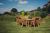 Valley 8 Seat Set 2Xc 2X3B By Churnet Valley