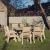 Erg0 8 Seater Square Set 8Xc By Churnet Valley