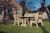 Ergo 4 Seat Table Set 2Xb By Churnet Valley