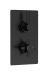 Twin Thermostatic Shower Valve With Diverter - Hudson Reed A4007 Black, Black colour ,image 1