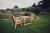 Valley 2 Seat Bistro Set 2Xc 99Cm Table By Churnet Valley