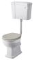 Comfort Height Low Level WC & Flush Pipe - Hudson Reed CCR034 Gloss White, White colour ,image 1