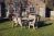 Ergo 8 Seater Square Set 4Xb By Churnet Valley