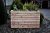 Marta Larch Planter