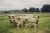 Ergo 6 Seat Table Set 2Xc 2Xb By Churnet Valley