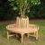 Small Grade A Teak Full Tree Wooden Garden Bench - Neutral