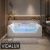 Vidalux WB47 Deluxe 1700 x 850 Whirlpool & Airspa Bath