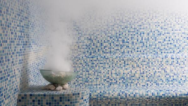 The Steam Room User Guide: What You Need to Know