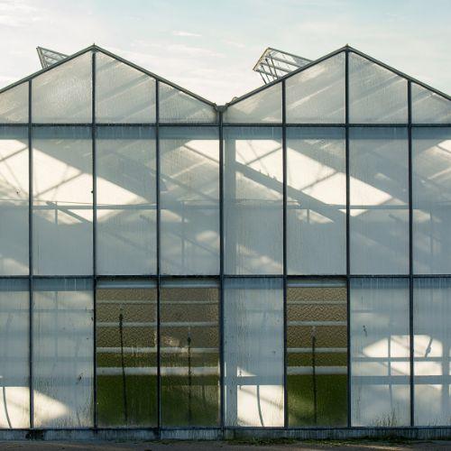 How To Maintain Humidity In a Greenhouse