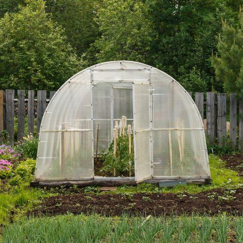 Greenhouse Vs Cold Frames: What's The Difference?