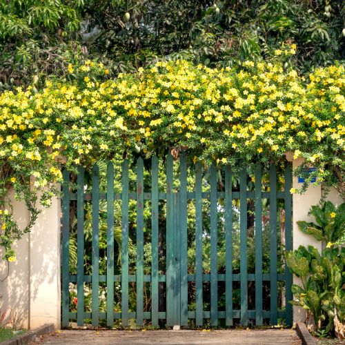 Do You Need Planning Permission For a Garden Gate?