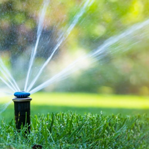 How To Install An Automatic Irrigation System In a Greenhouse?